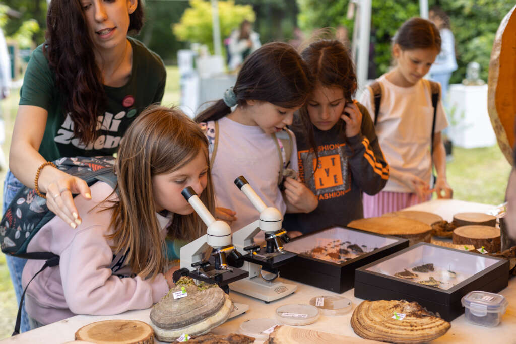 53741381018_4ea7c23940_k